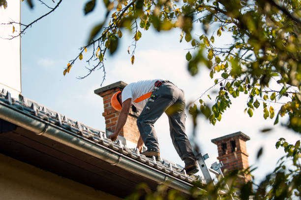 Best Gutter Installation and Roofing  in Orlinda, TN