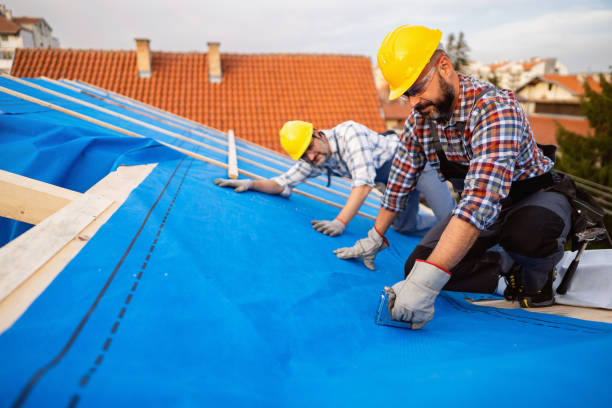 Best Residential Roof Replacement  in Orlinda, TN