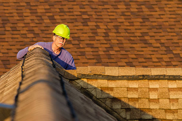 Best Roof Gutter Cleaning  in Orlinda, TN